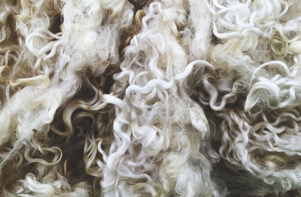 Sheep wool material for insulation