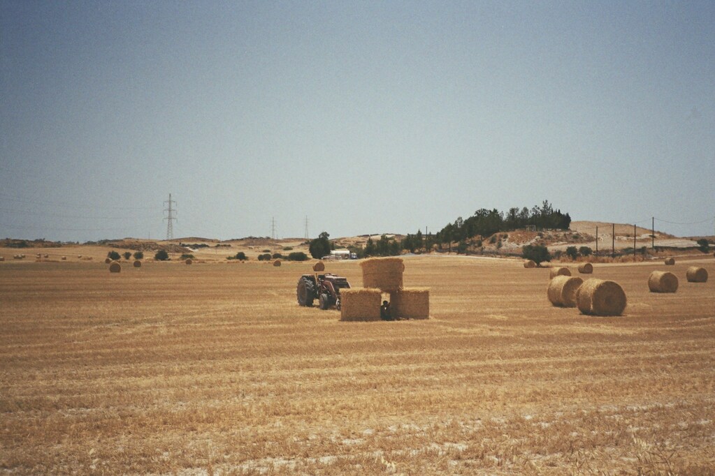 Recycled Shipping Container for Wheat Farming in Texas