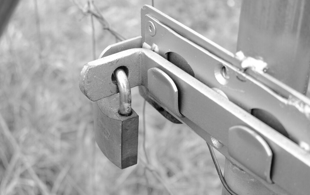 Shipping container lock