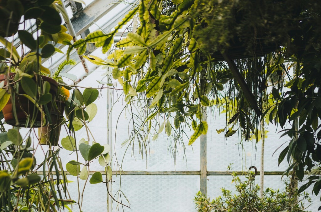 Shipping Container Greenhouse