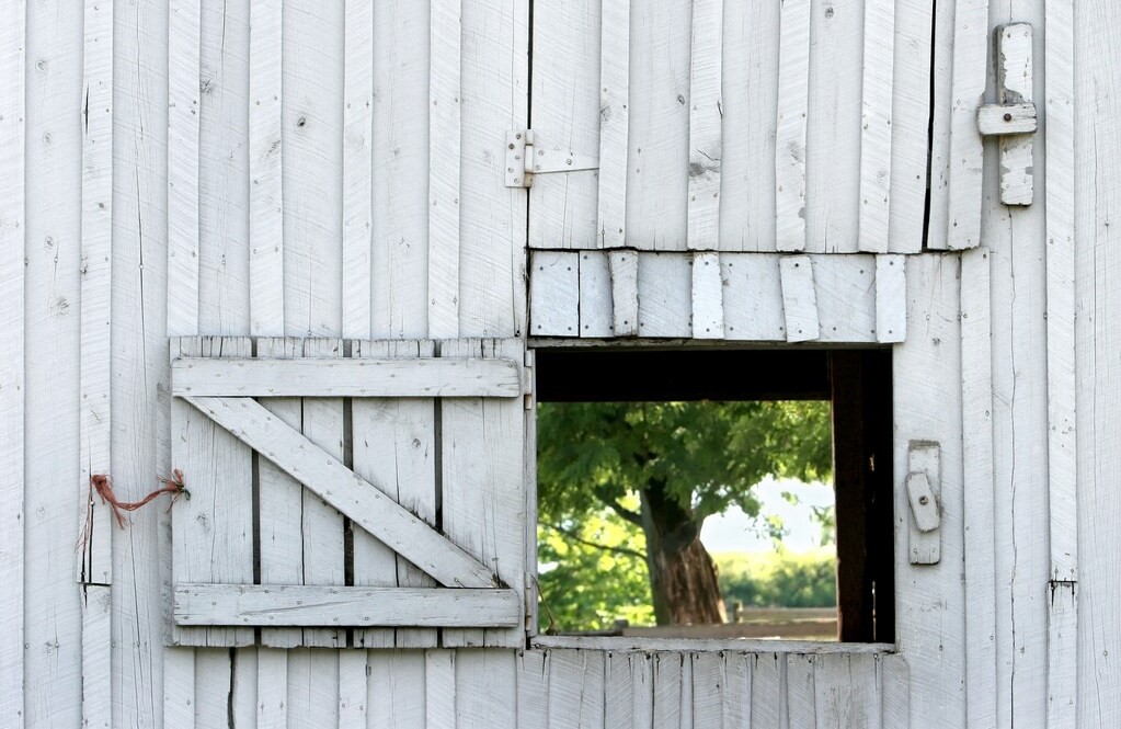 Window for ventilation