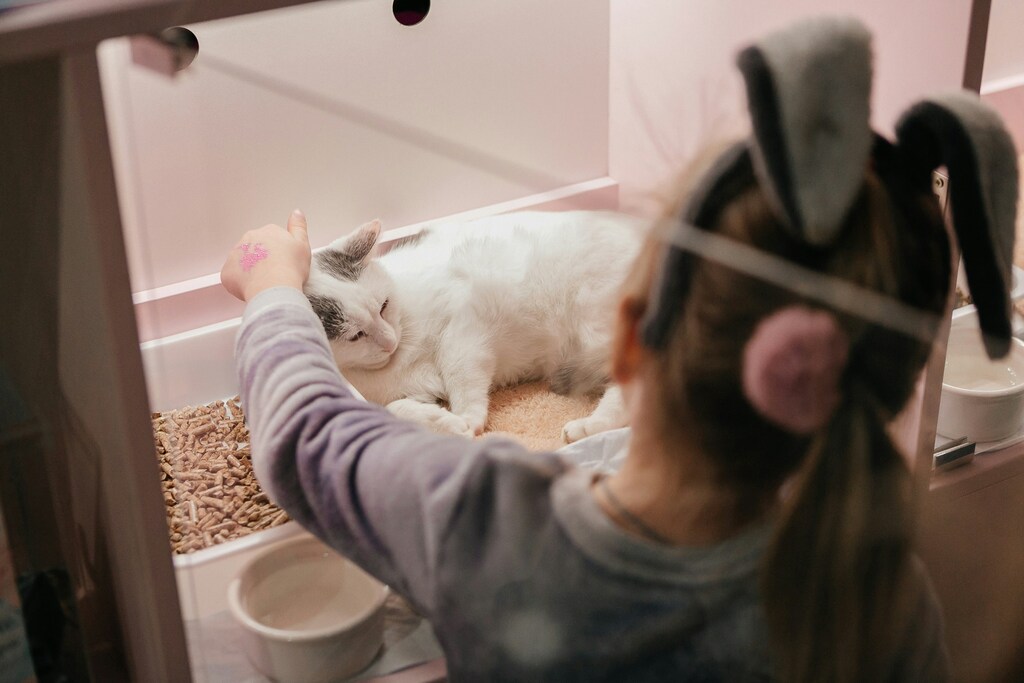 Kids at animal shelter