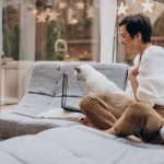 7 Tips to Live Comfortably in Shipping Container Homes