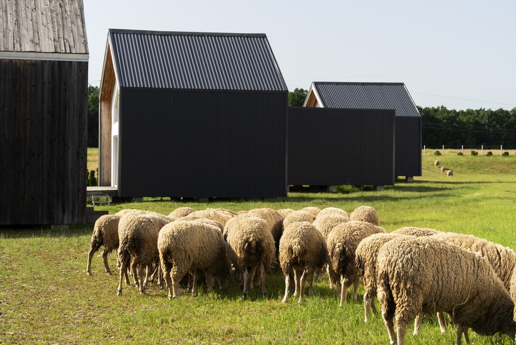Modern Farmhouse Container Hybrids