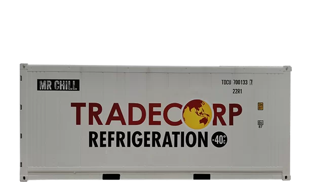 20 Feet Refrigerated Container Thermoking Magnum for Sale
