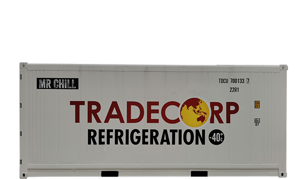 20 Feet Refrigerated Container Thermoking Magnum for Sale